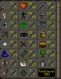 main/pker with a few 99s and a firecape/void/defender/ava\\\'s accumulator + full graceful